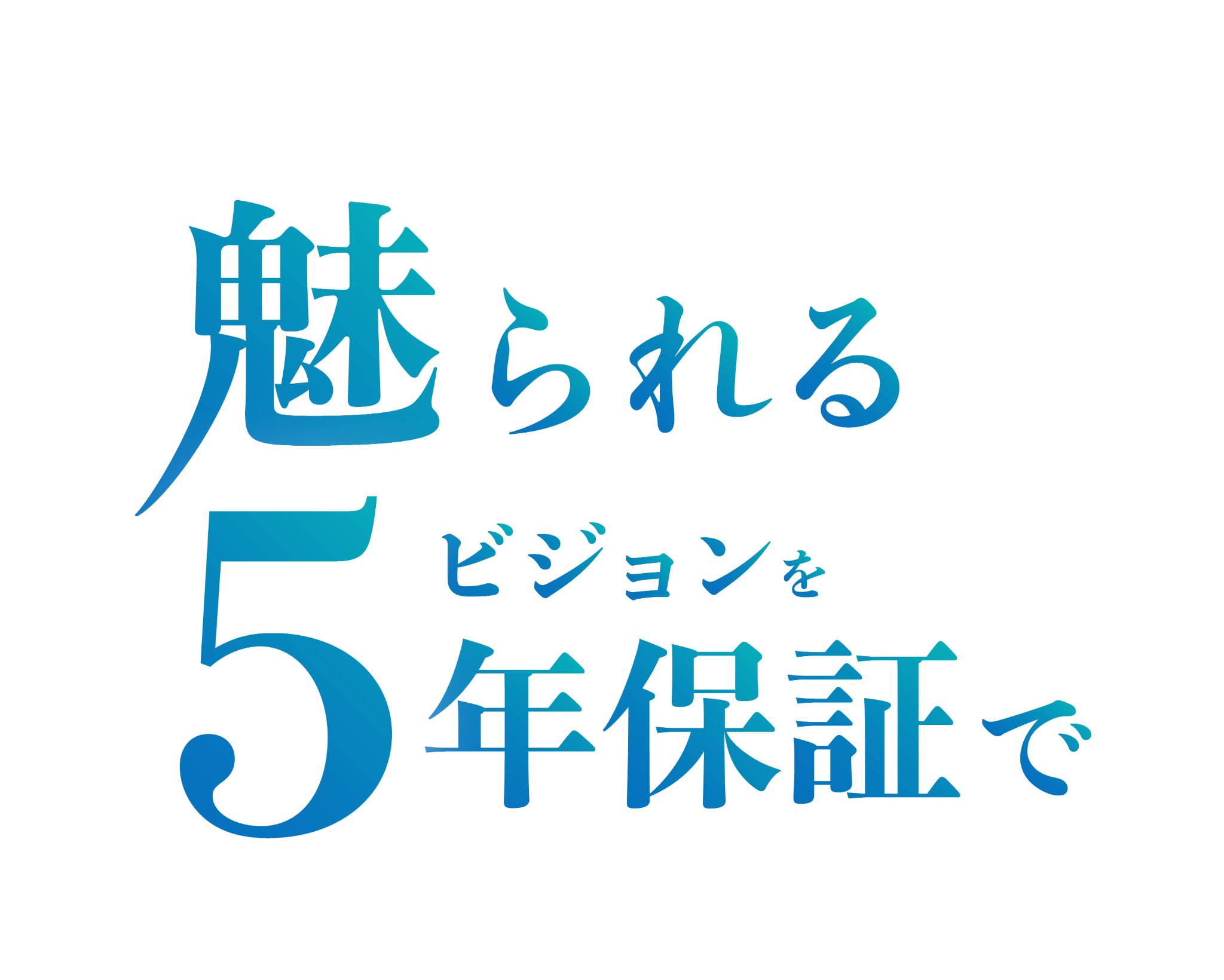 魅せられるビジョンを5年保証で