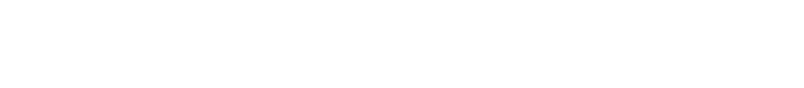 チケット料金