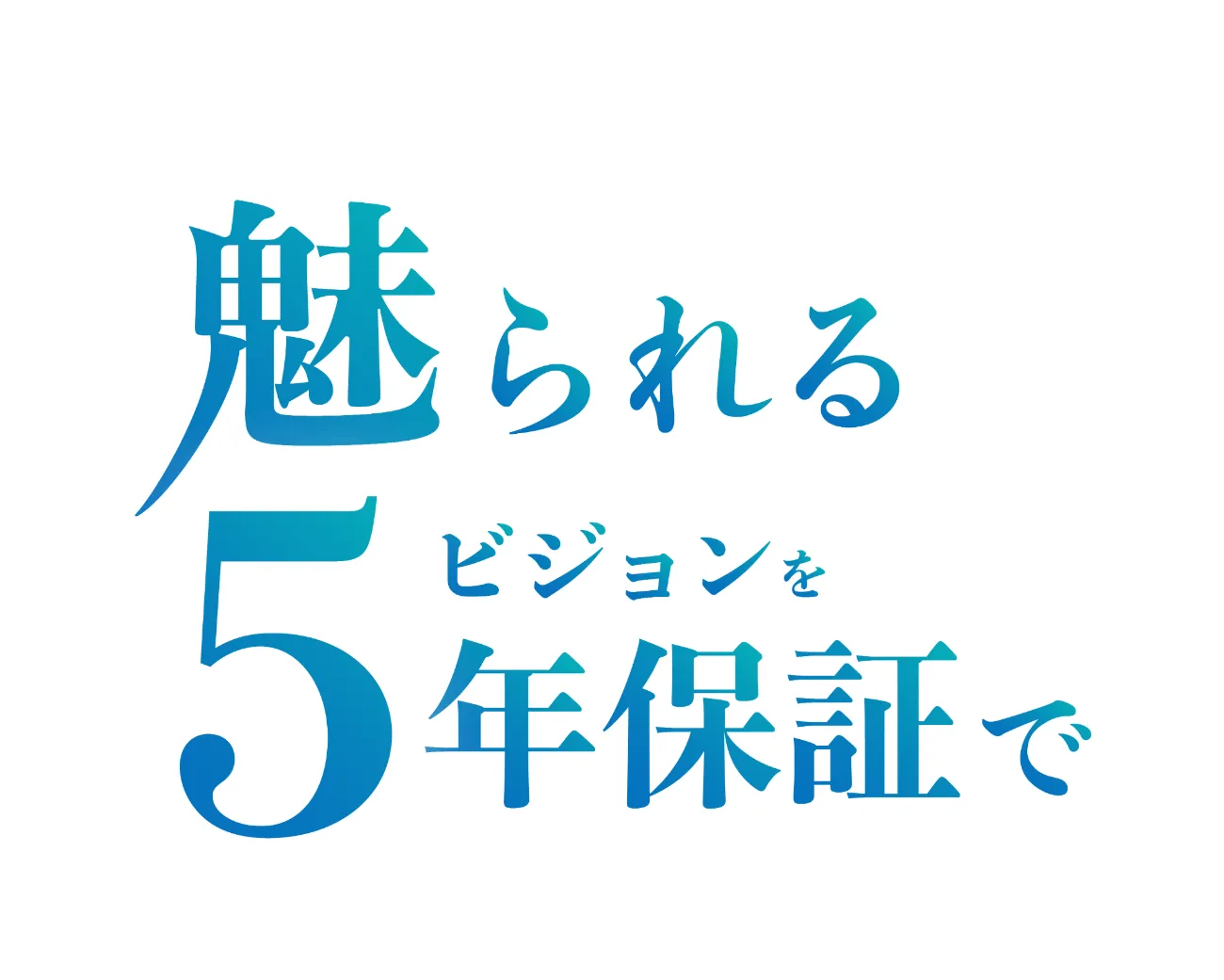 魅せられるビジョンを5年保証で